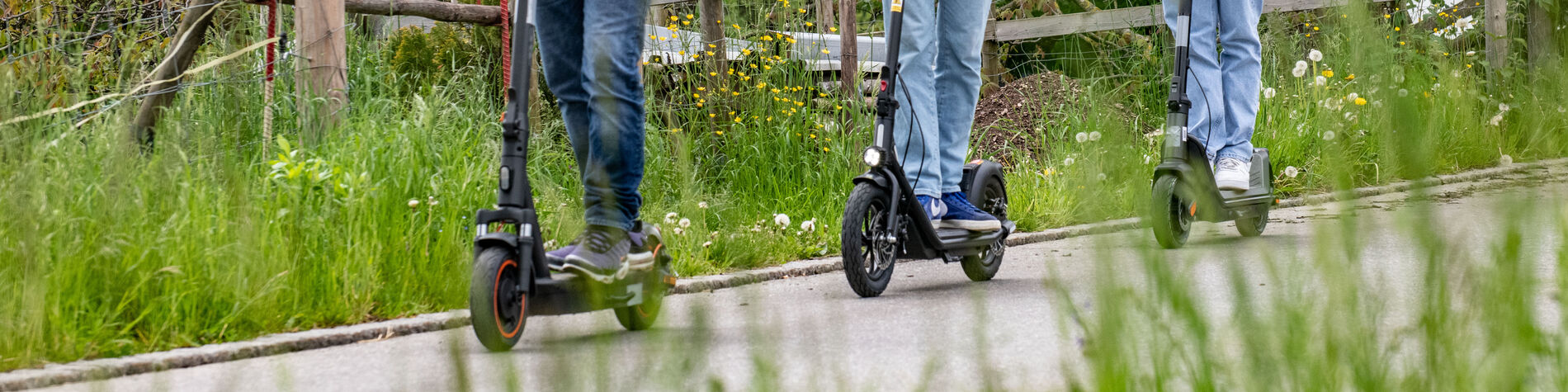 E Trotti dans la nature